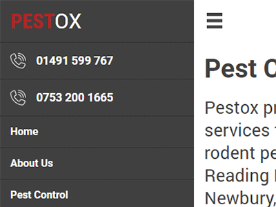 pestox web design mobile 2