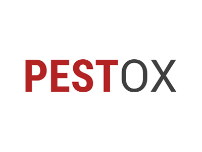 web design for pestox pest control in reading