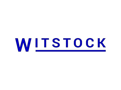 witstock web design berkshire logo