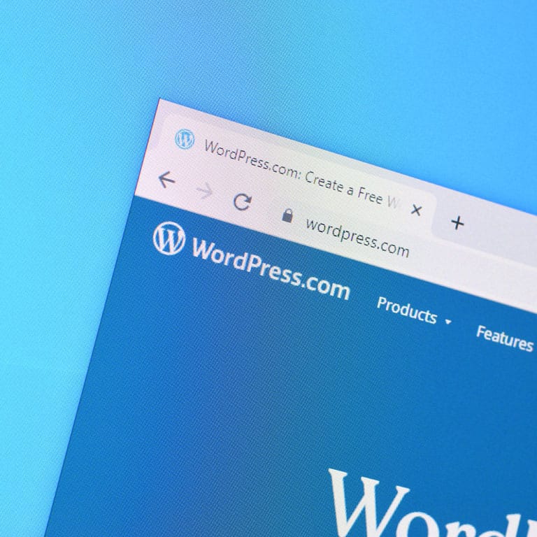 wordpress web developers in Reading Berkshire